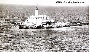 Arzew 323